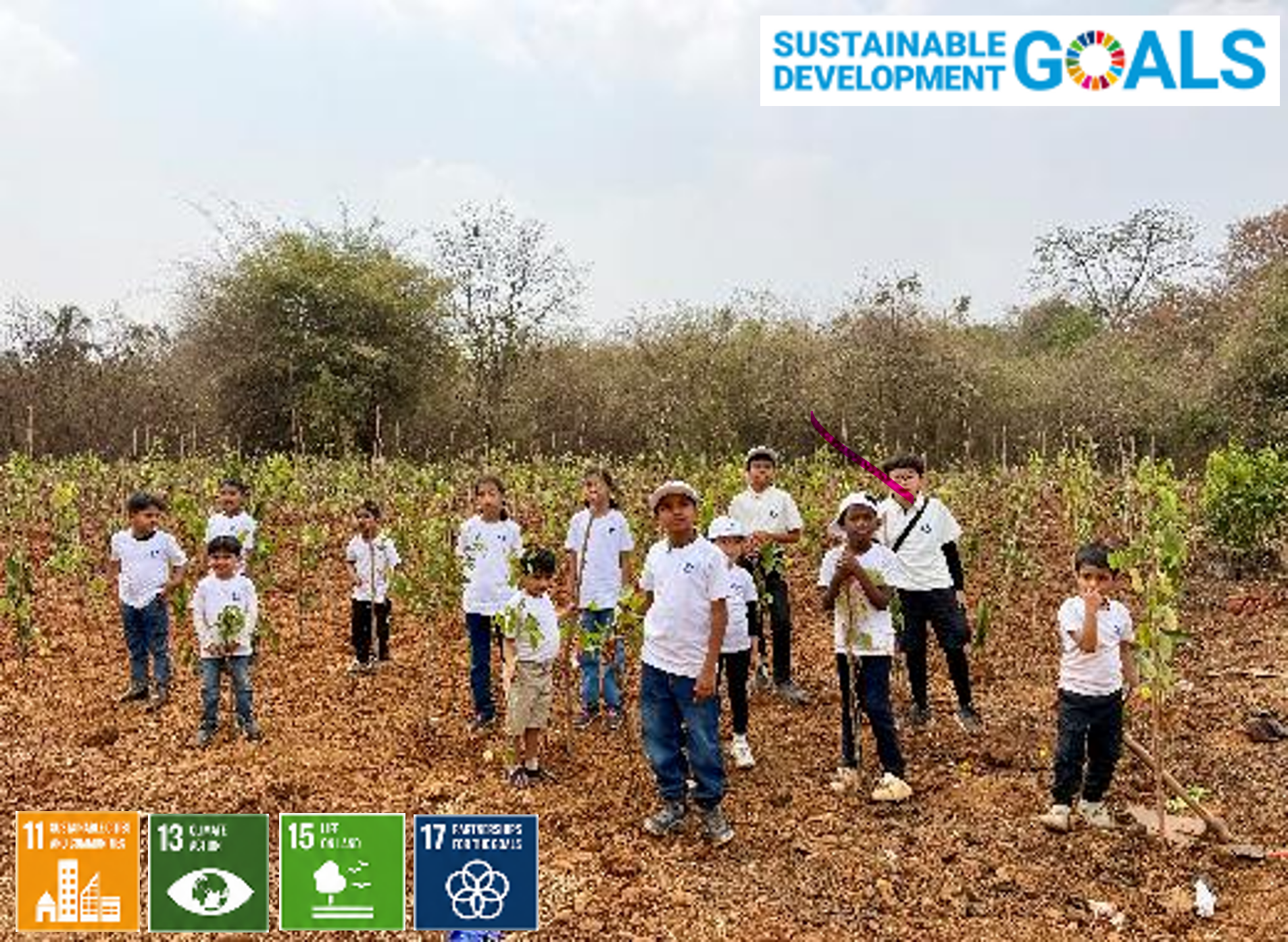 CSR Activity - Site Plantation Report February 2026