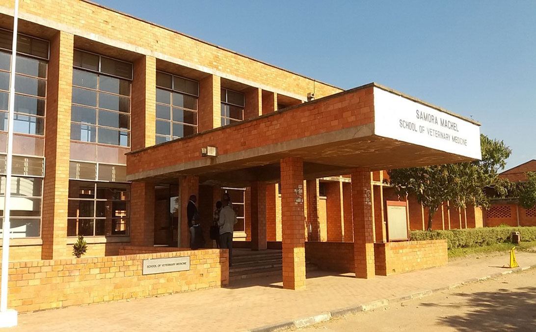 Construction of the School of Veternary Medicine, University of Zambia